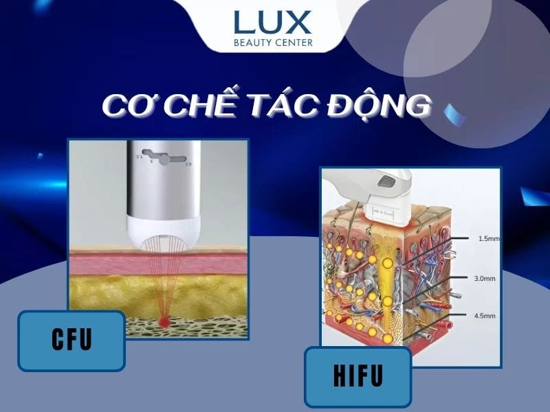 hình mô tả cơ chế hoạt động của cfu và hifu và chữ cơ chế tác động của cfu và hifu